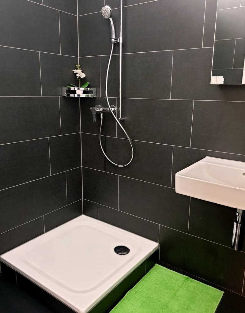 modern möbliertes Zimmer in Basel (3)