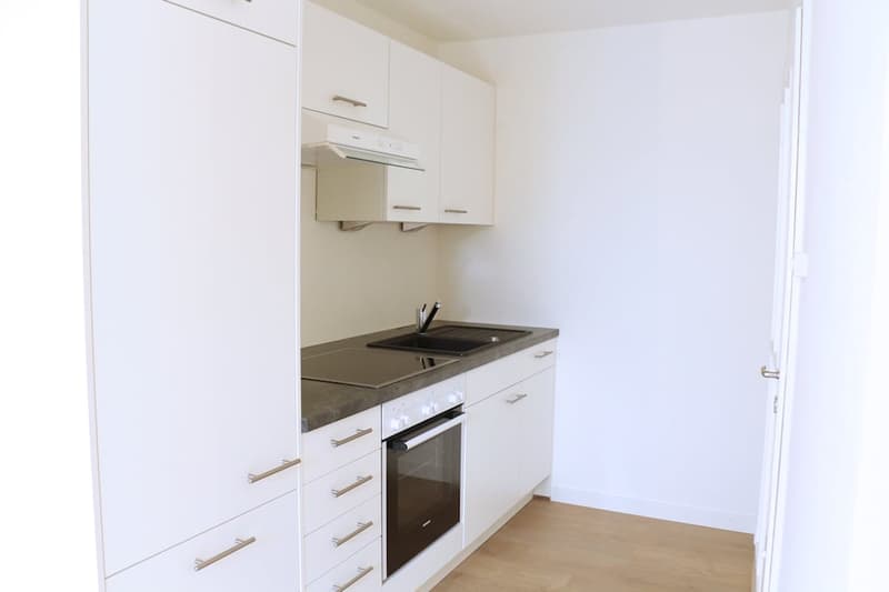 A kitchen with modern design, with built-in appliances including an oven, dishwasher, and washing machine.