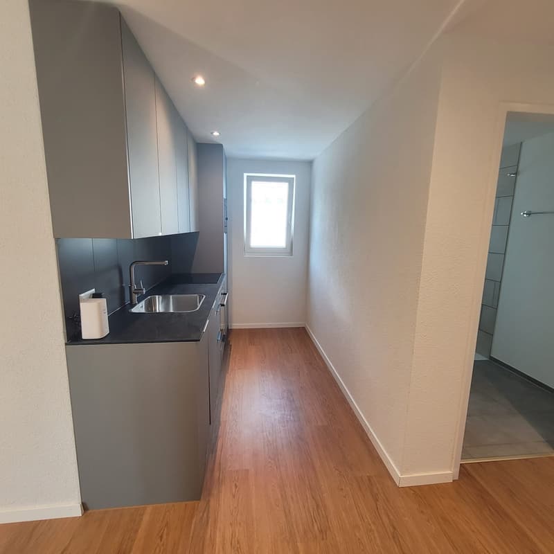 modern kitchen, wooden floor, gray cabinets, black countertop, stainless steel sink, faucet, window