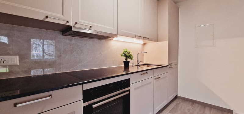 Modernes, voll möbliertes Zimmer (2)