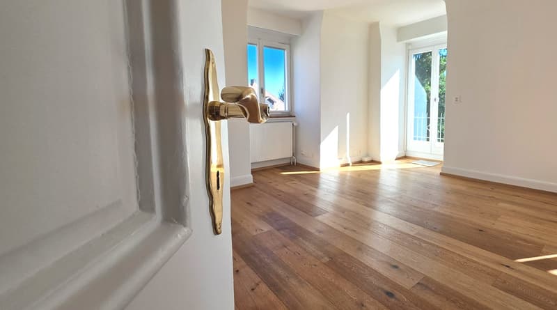 Charmante 2-Zimmer-Wohnung mit Balkon und Aussicht in Zürich-Höngg (11)