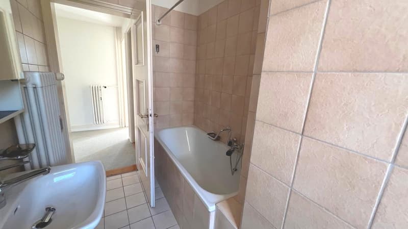 Charmante 2-Zimmer-Wohnung mit Balkon und Aussicht in Zürich-Höngg (2)