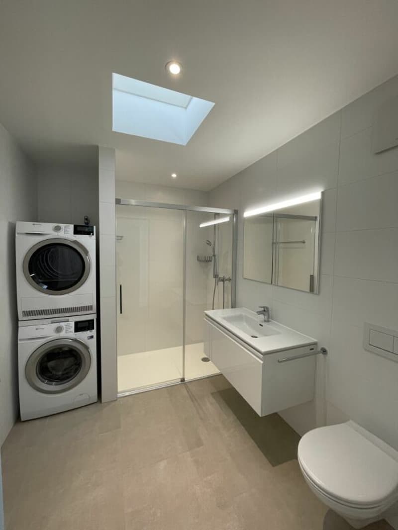 Moderne 3.5 Zimmer-Attikawohnung (3)