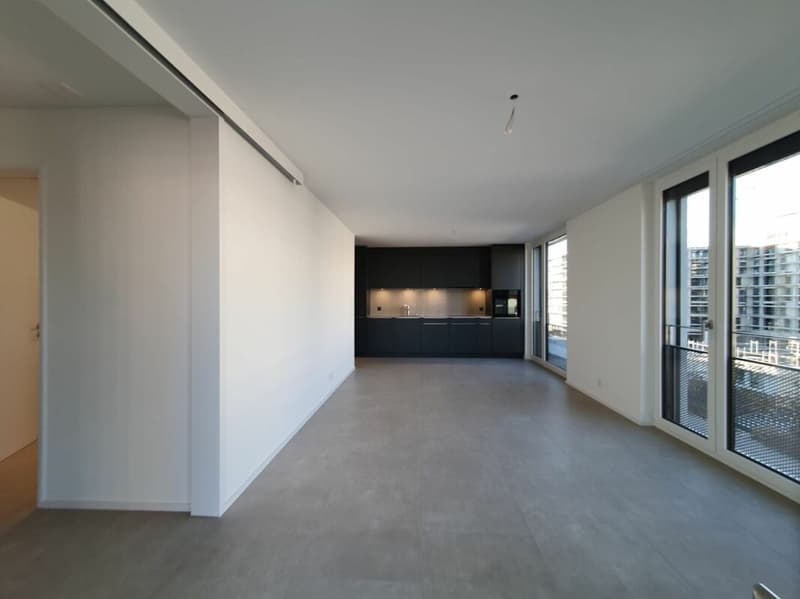 Moderne 3.5 Zimmer-Attikawohnung (2)