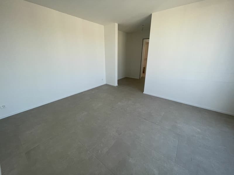 Moderne 3.5 Zimmer-Attikawohnung (4)