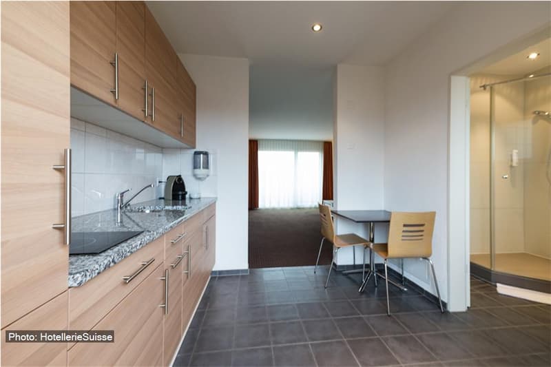 Appartamento Loft Moderno con Balcone a Fehraltorf (4)