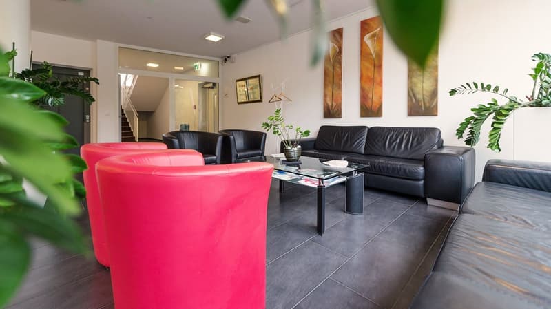 Appartamento Loft Moderno con Balcone a Fehraltorf (2)