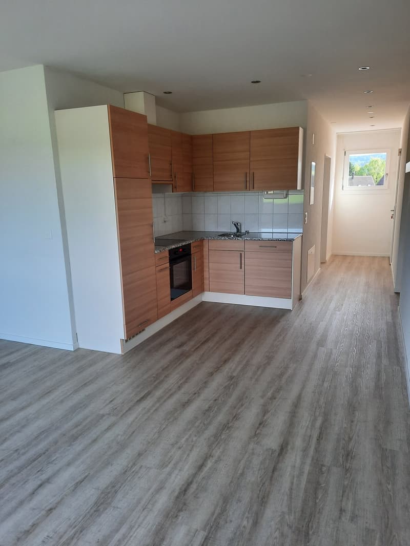 Moderne Loft-Apartment mit Balkon in Fehraltorf (4)