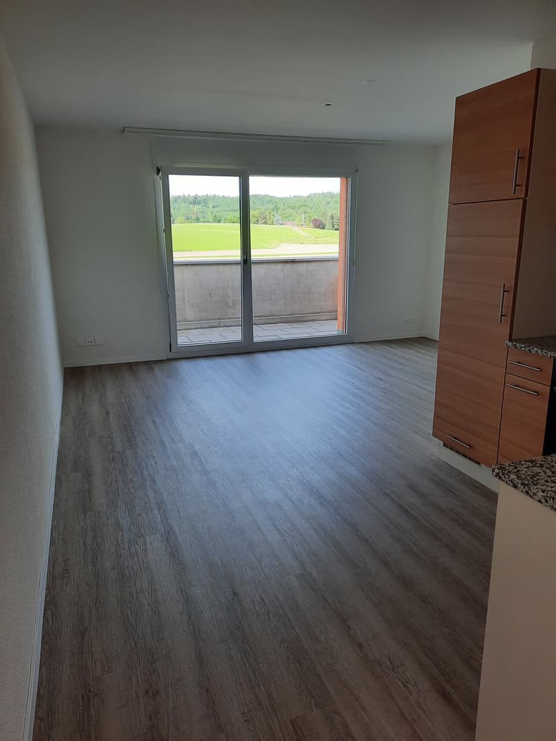 Moderne Loft-Apartment mit Balkon in Fehraltorf (5)
