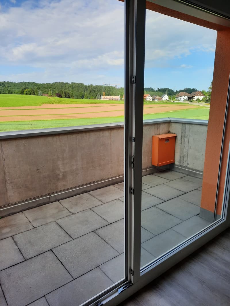 Moderne Loft-Apartment mit Balkon in Fehraltorf (6)