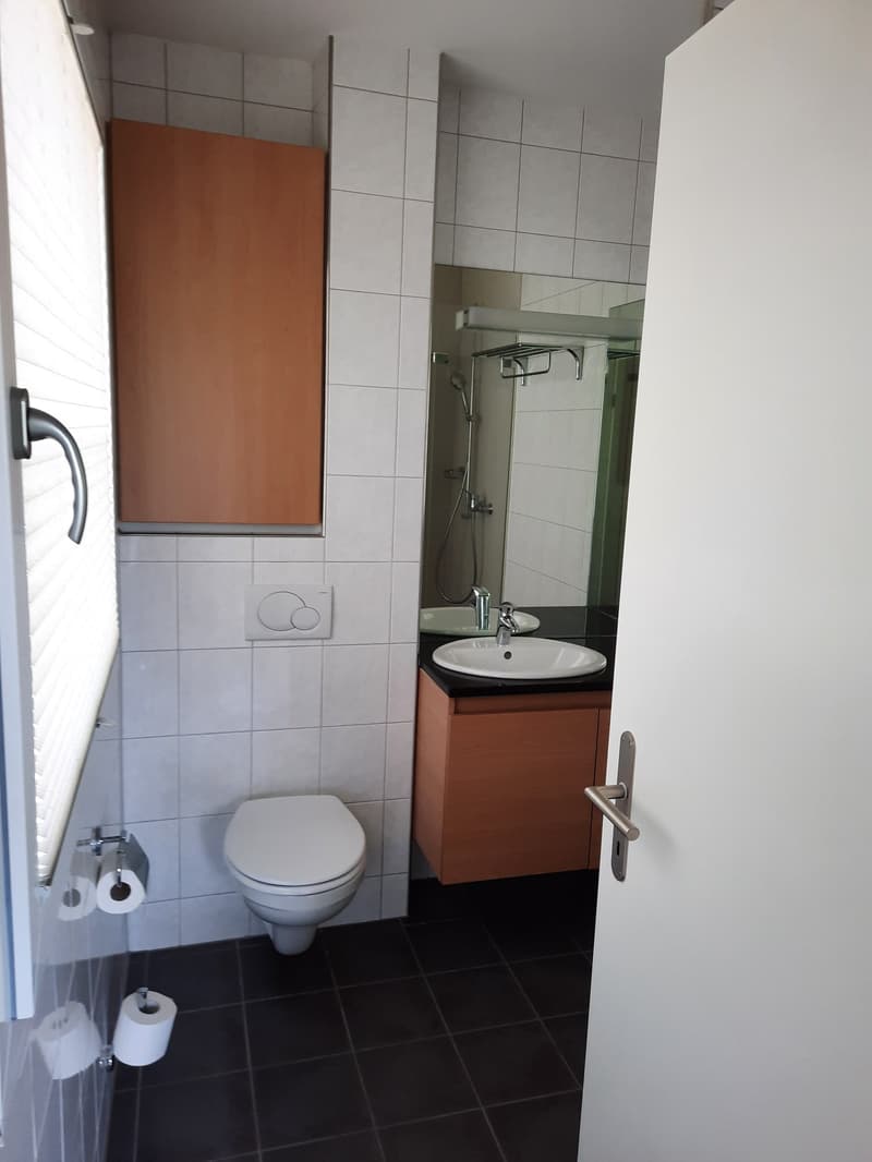 Moderne Loft-Apartment mit Balkon in Fehraltorf (7)