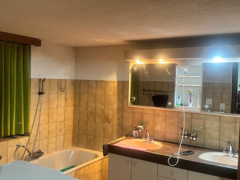 Bathroom with bathtub, sink, mirror, power outlet, shelves, and washing machine.