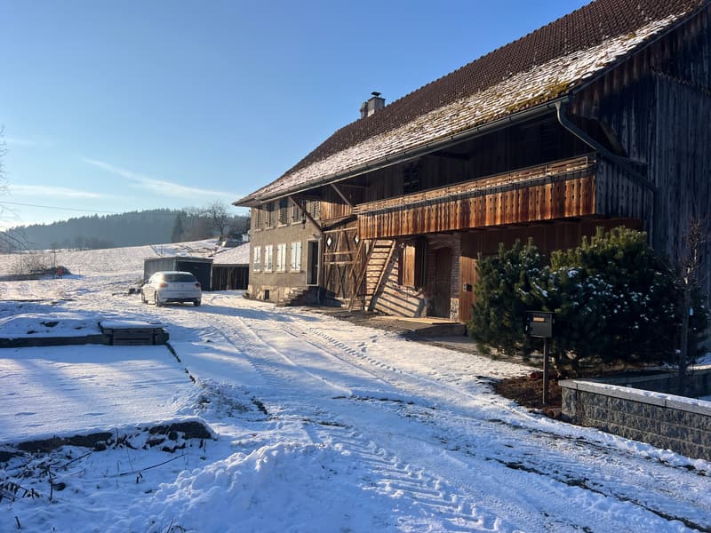 Casa colonica affascinante del 1840 in una posizione tranquilla a Madetswil (2)