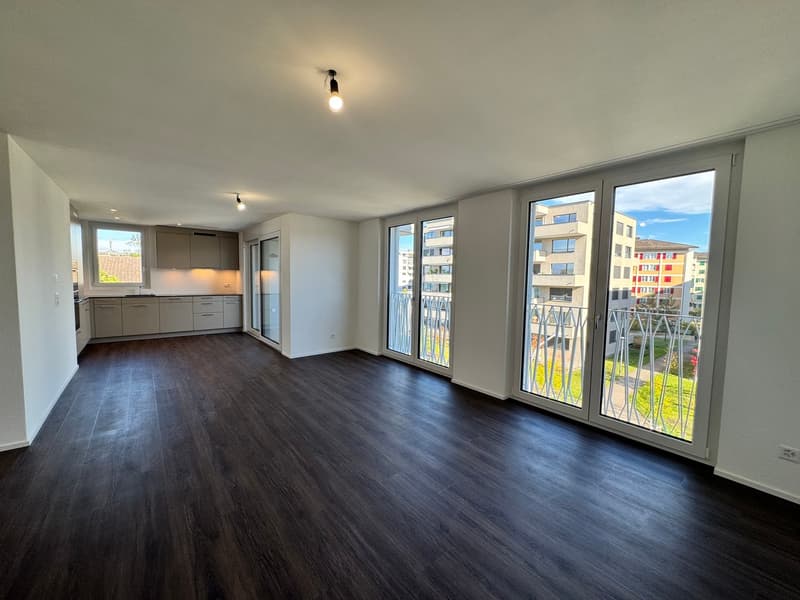 Erstbezug 4.5-Zimmer-Neubau-Wohnung mit Balkon und Stadtblick (1)