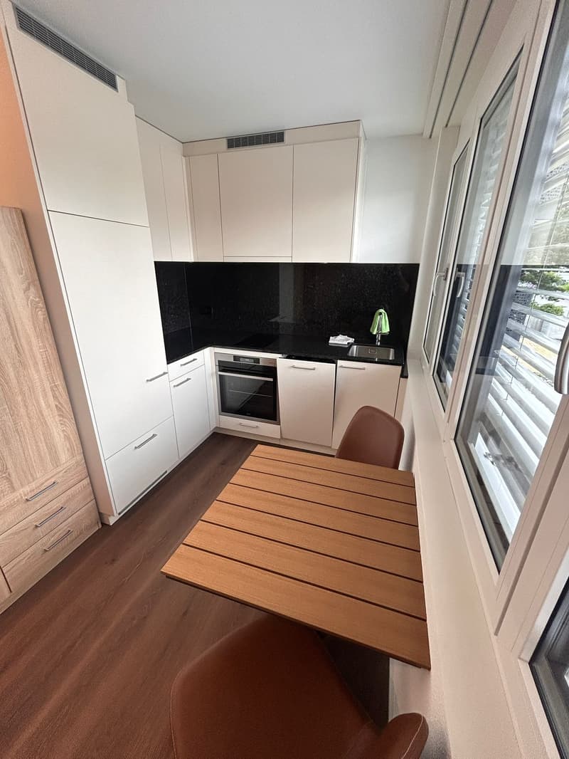 Möbliertes Studio-Apartment im Neubau – Russikon, Madetswilerstrasse 18 (2)