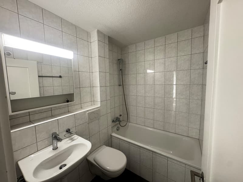 Charmante 3-Zimmer-Erdgeschosswohnung mit Sitzplatz in Dübendorf (3)