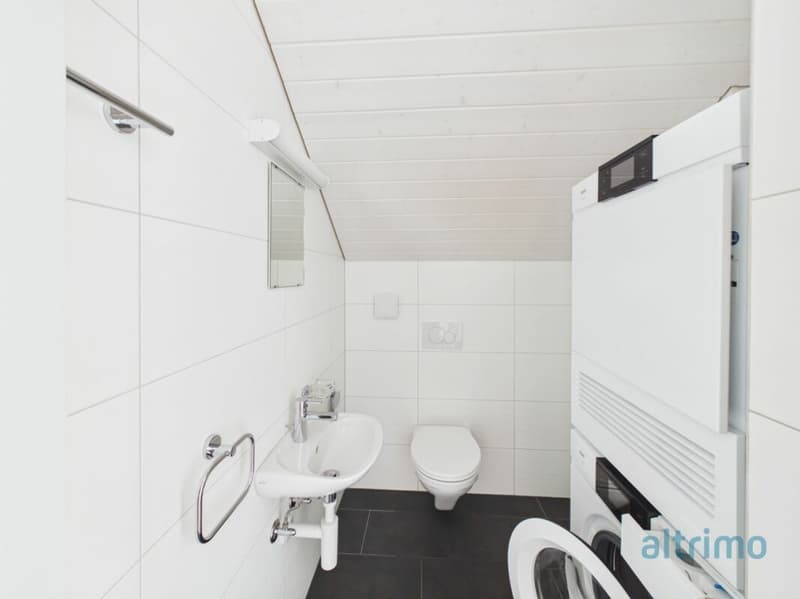 Grosszügige Dachwohnung mit 178m2! (5)