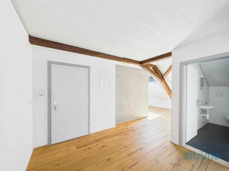 Grosszügige Dachwohnung mit 178m2! (10)