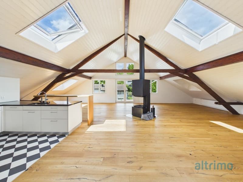 Grosszügige Dachwohnung mit 178m2! (1)