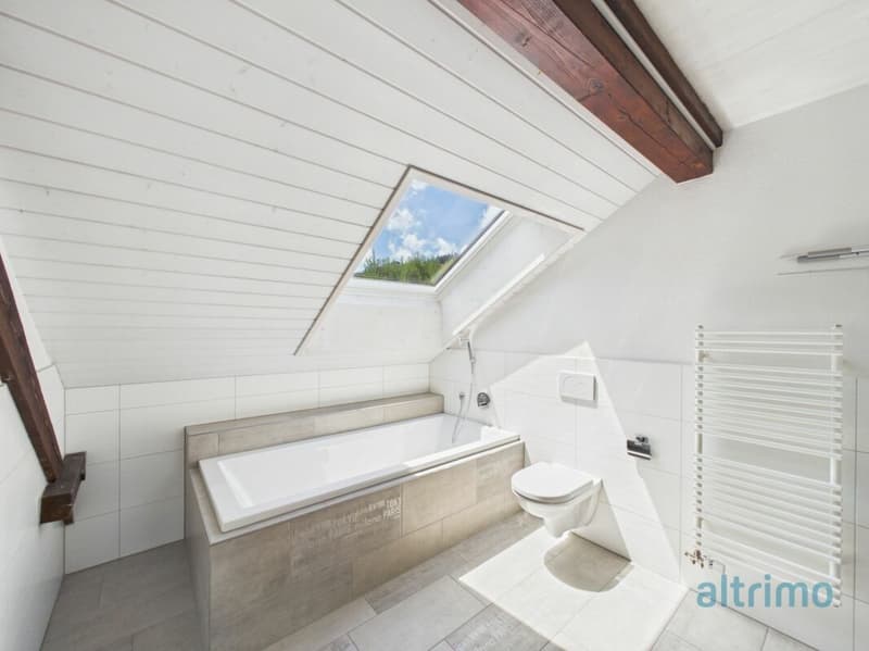 Grosszügige Dachwohnung mit 178m2! (3)