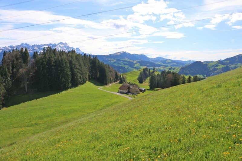 Ansicht Parzellen Nr. 1799 und Nr. 1476 mit Aussicht gegen Westen