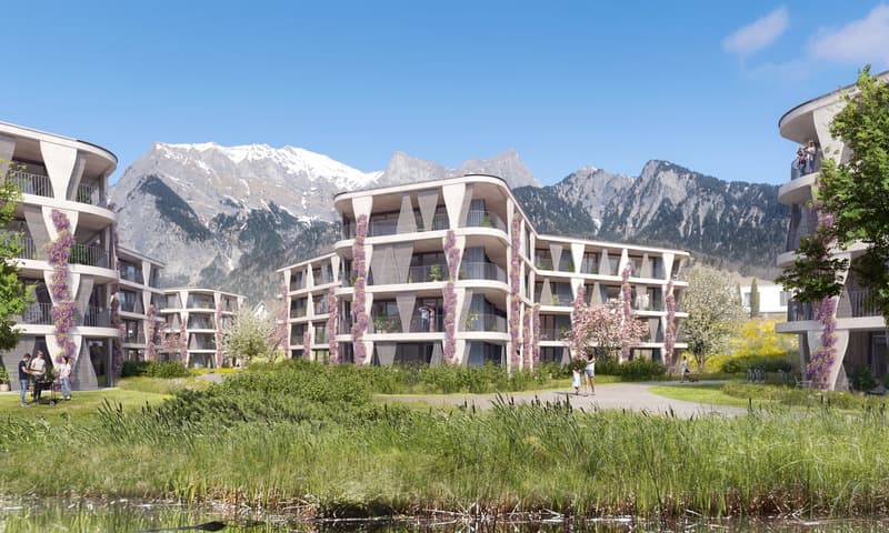 Neubauprojekt Lindenpark Maienfeld, Balatrain 13, CHF 835000 | homegate.ch