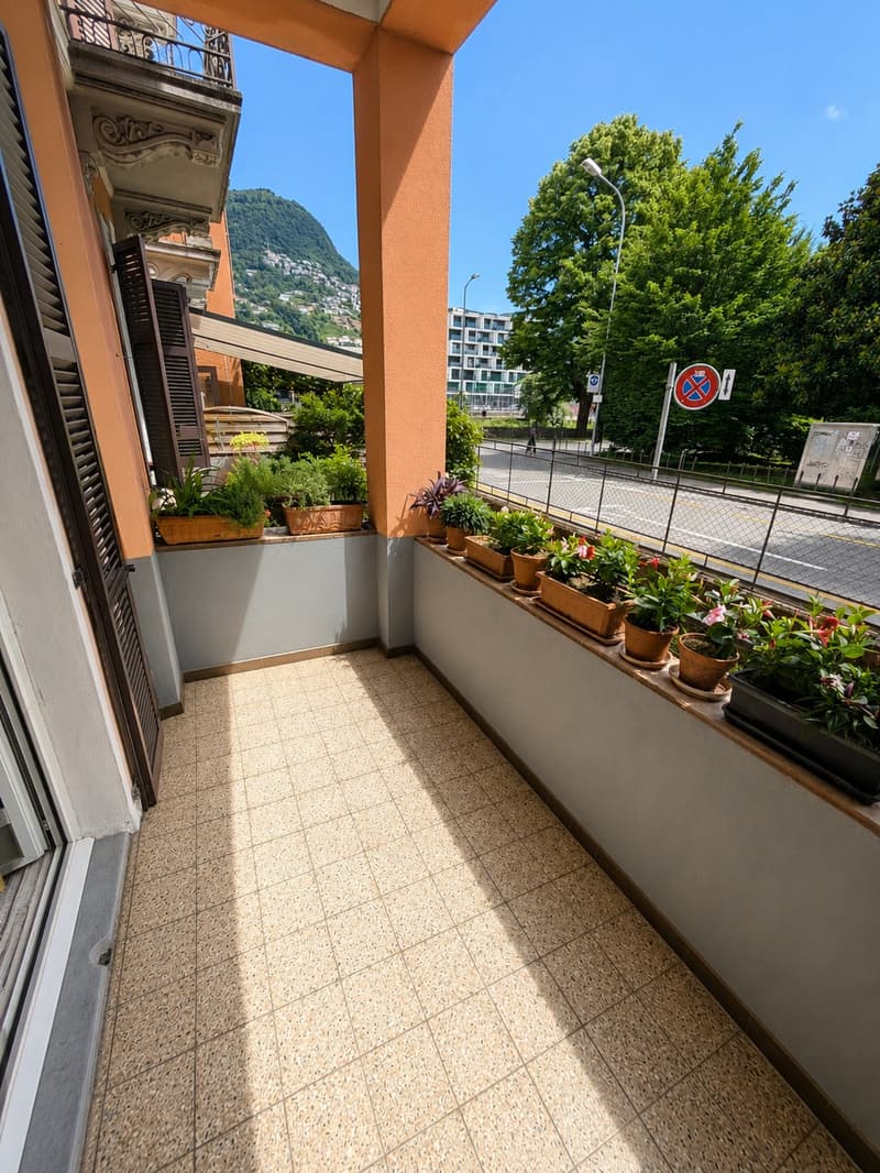 Spazioso 3.5 locali al PT con giardino esclusivo e doppia cantina (5)
