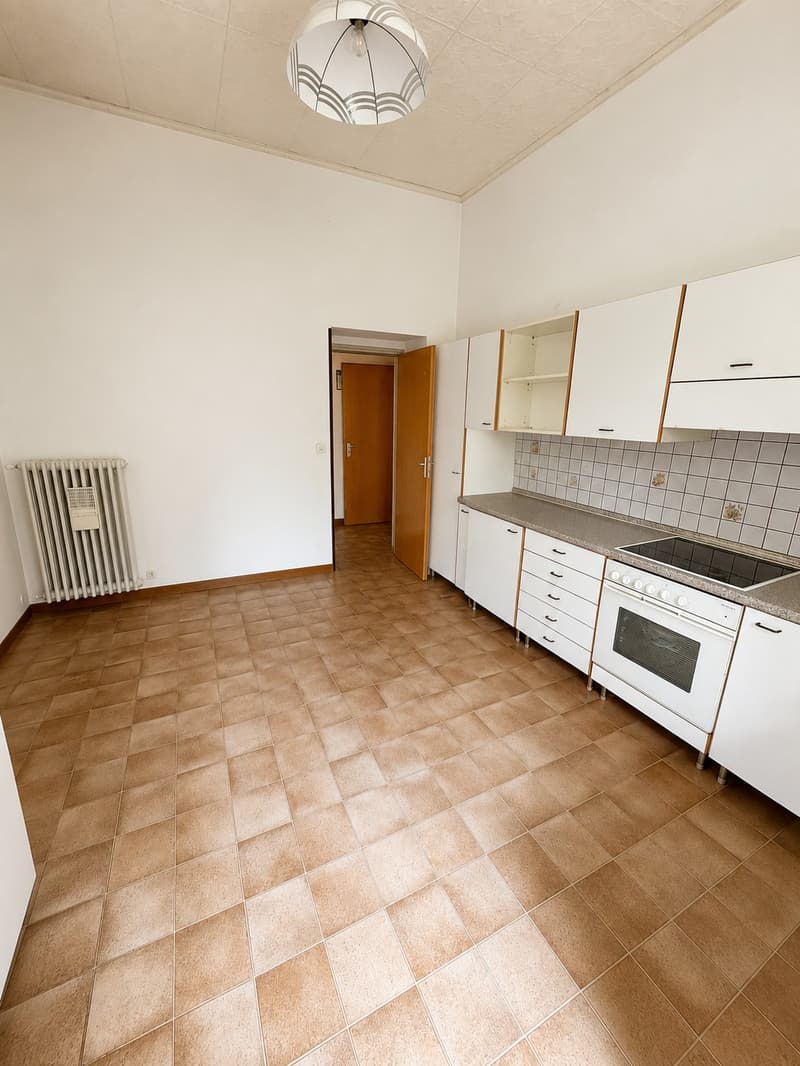 Spazioso 3.5 locali al PT con giardino esclusivo e doppia cantina (7)