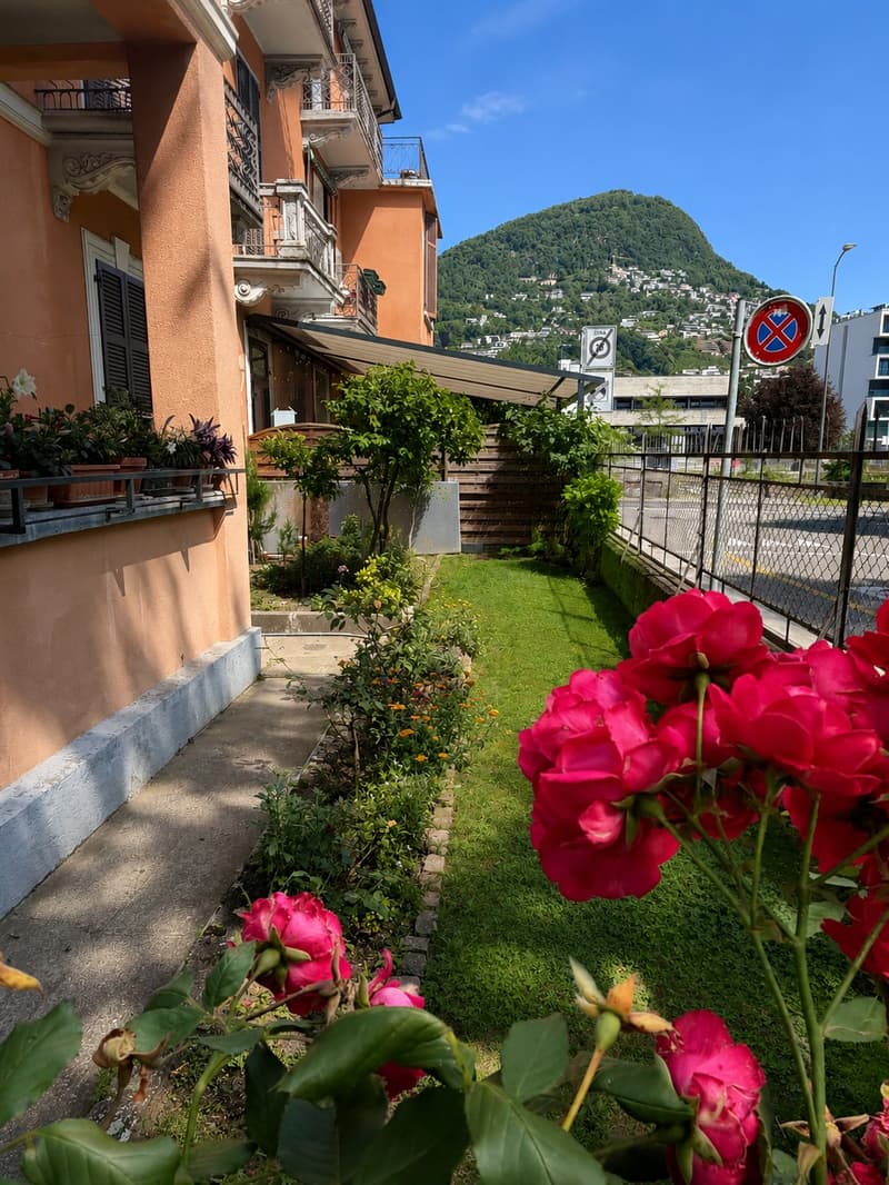 Spazioso 3.5 locali al PT con giardino esclusivo e doppia cantina (3)