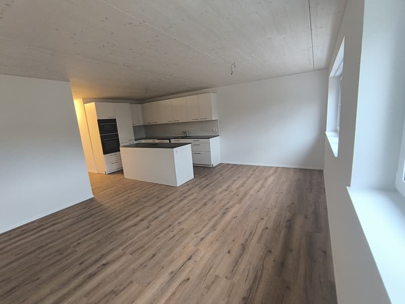 Familienwohnung 4.5-Zimmer im Neubau mit Balkon und Reduit - 105m² (4)