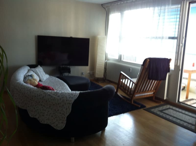 Rent a 3 ½ room apartment in Bern (10)