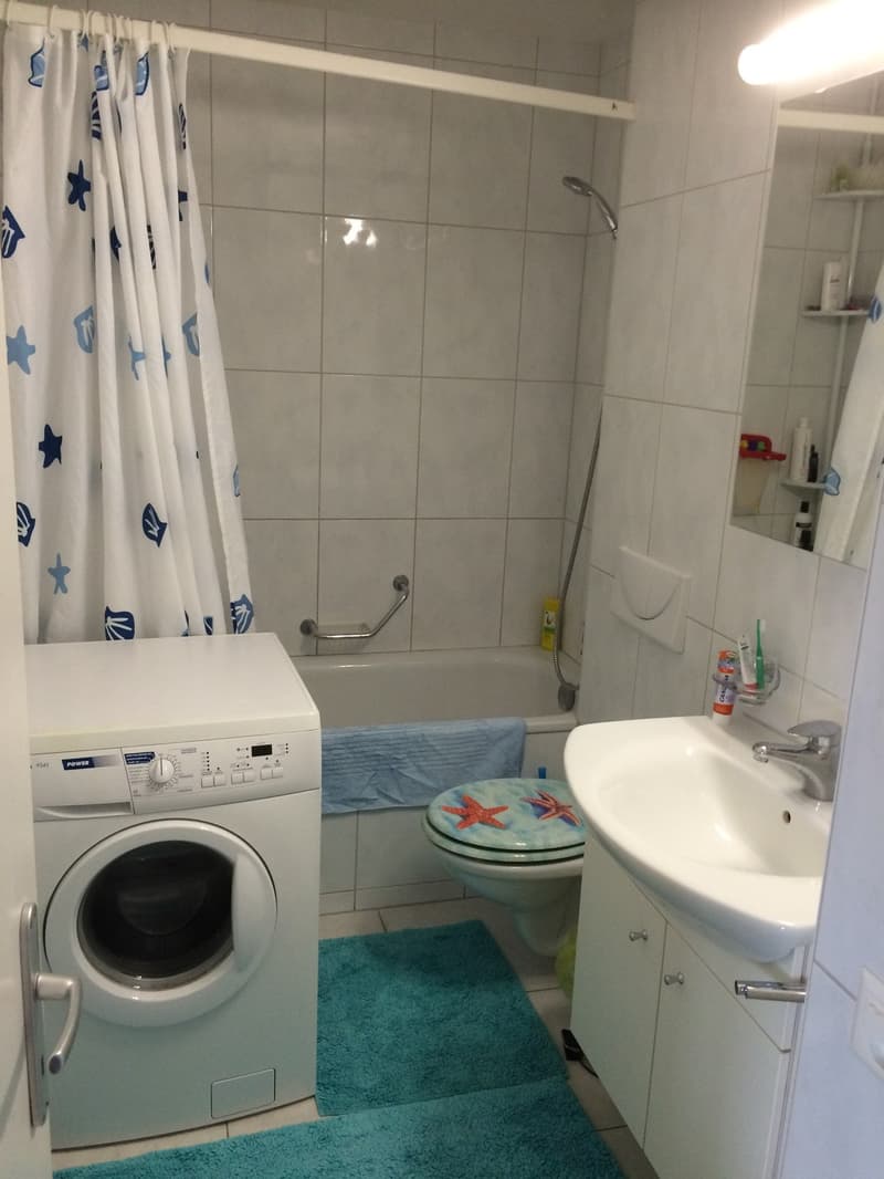 Rent a 3 ½ room apartment in Bern (12)
