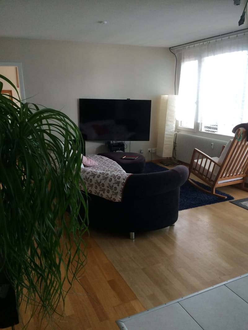 Rent a 3 ½ room apartment in Bern (7)