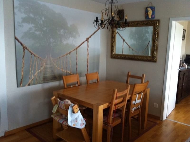 Rent a 3 ½ room apartment in Bern (8)