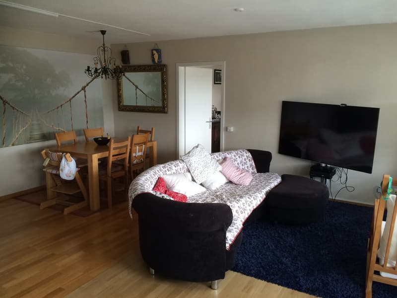 Rent a 3 ½ room apartment in Bern (9)