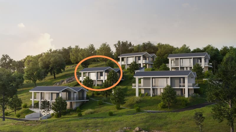 Modern Semi-Detached House with Panoramic Views of Lake Murten (3)
