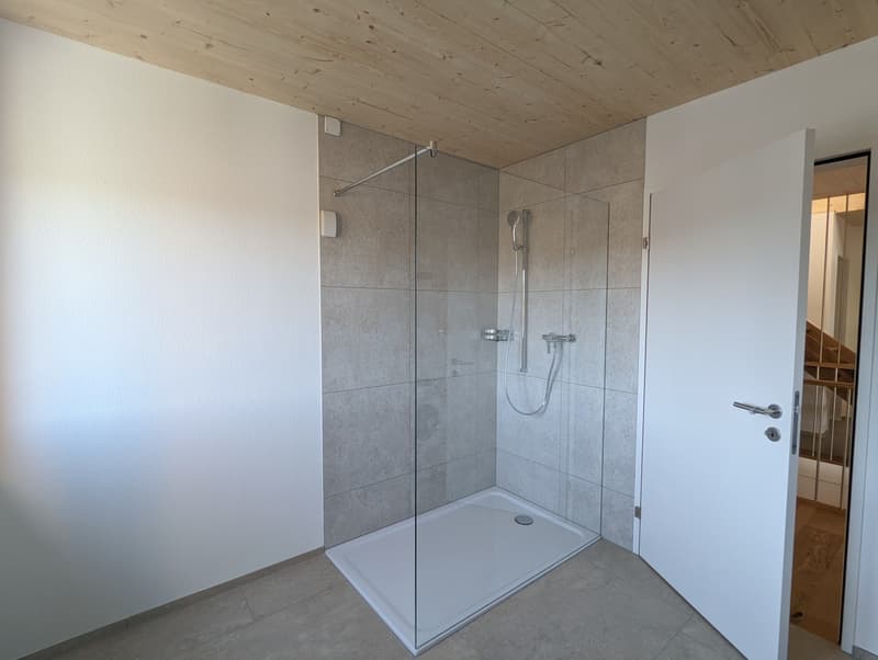 3.5-Zimmer-Wohnung mit besonderem Charakter (11)