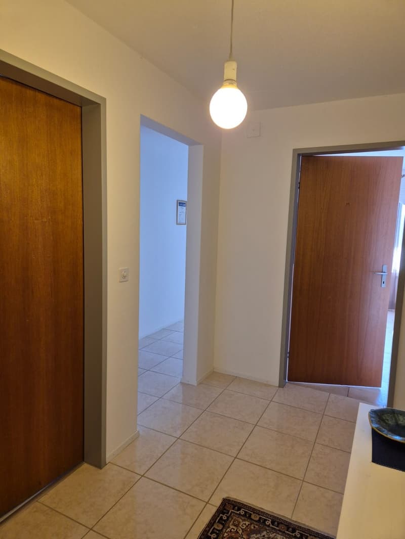Wunderschöne 6 Zimmer-Wohnung in Bellach (11)