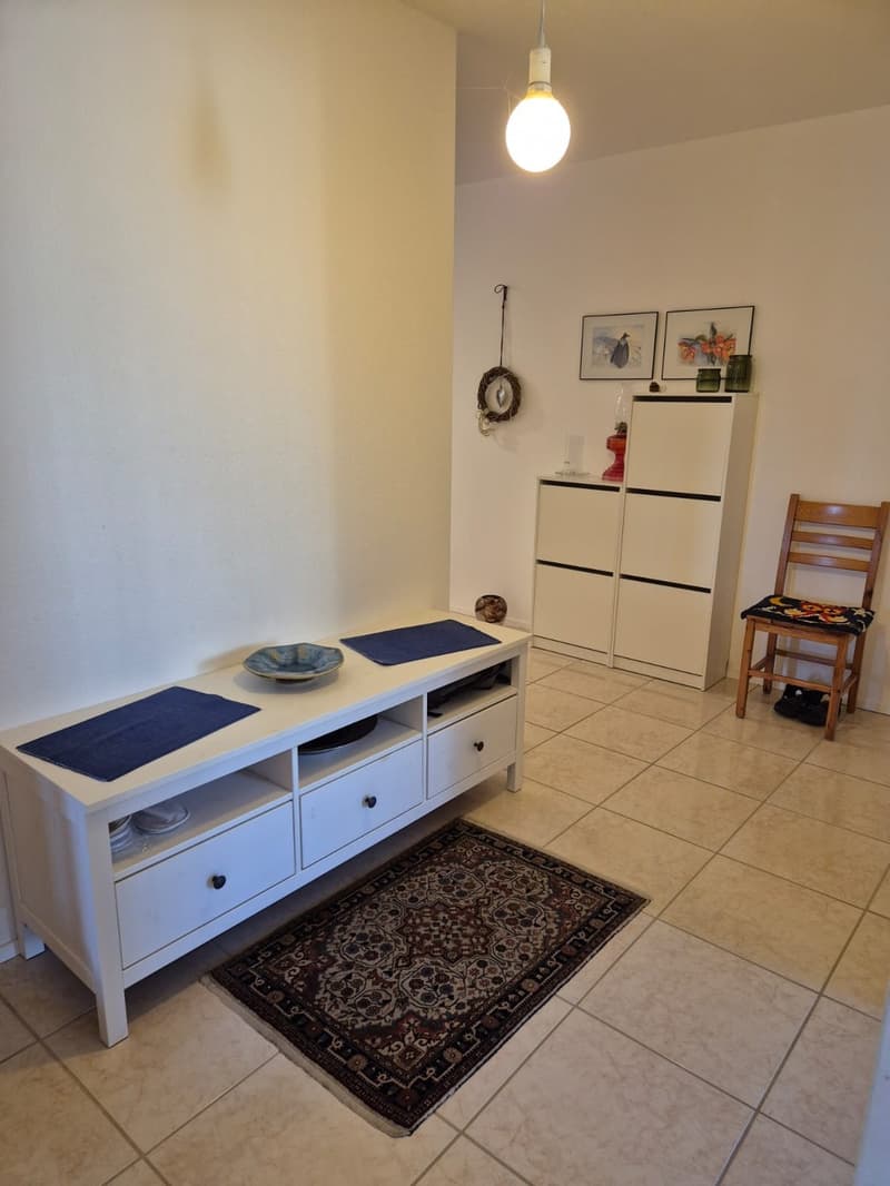 Wunderschöne 6 Zimmer-Wohnung in Bellach (4)