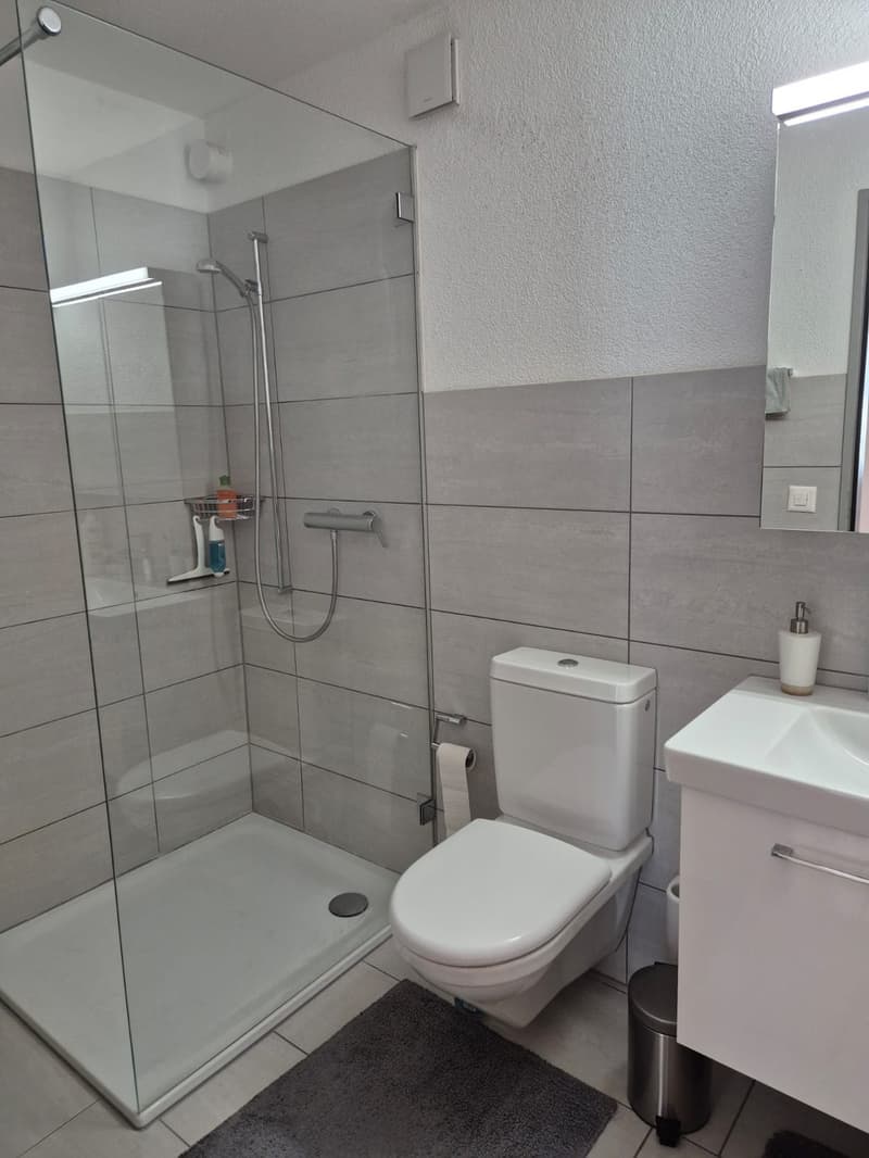 Wunderschöne 6 Zimmer-Wohnung in Bellach (13)