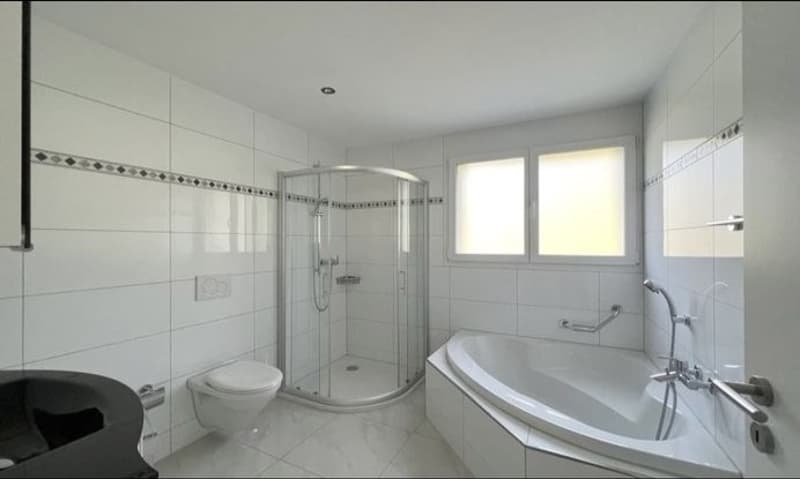 3 ½ Zimmer-Wohnung, 5622 Waltenschwil (4)