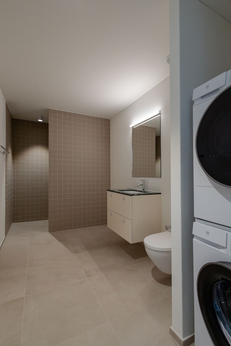 Exklusive 3.5 Zi- Neubauwohnung (100m²) mit 43m² Aussenfläche nahe Zürich (8)