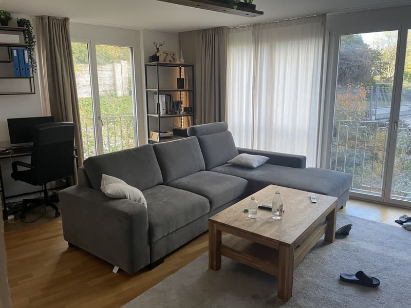 Schöne möblierte Wohnung in Wollishofen, mit privater Terrasse (5)