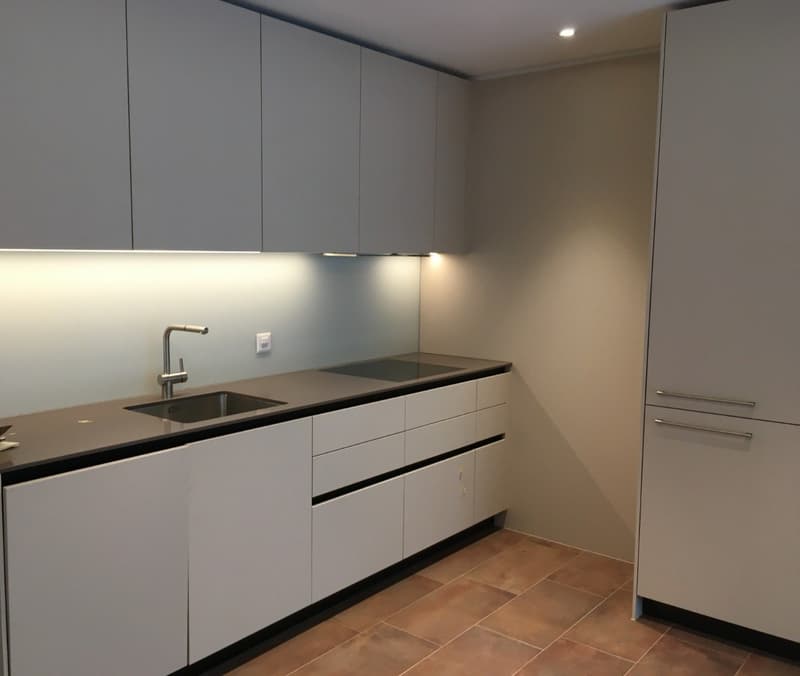 Schöne möblierte Wohnung in Wollishofen, mit privater Terrasse (3)