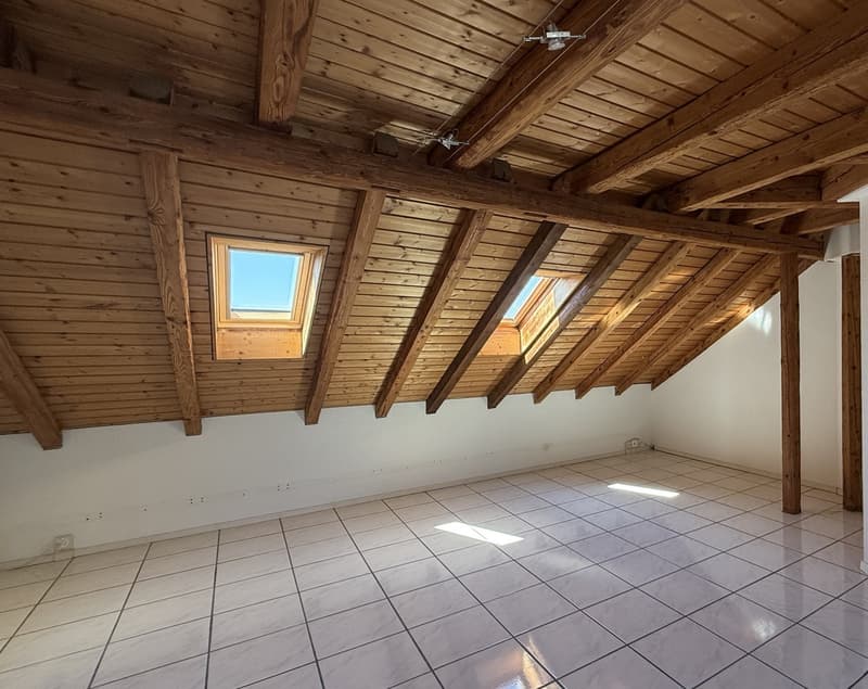 Neu renoviert mit grosser Zinnenterrasse und herrlicher Aussicht (7)