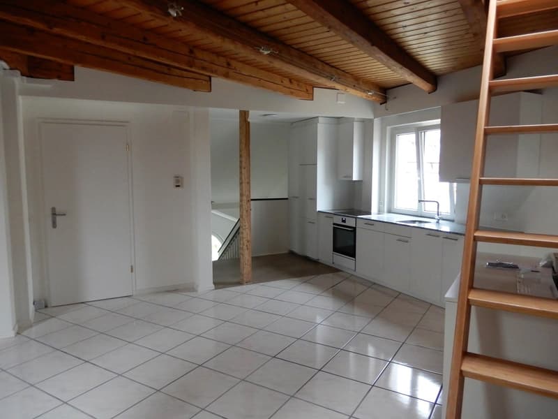 Neu renoviert mit grosser Zinnenterrasse und herrlicher Aussicht (3)