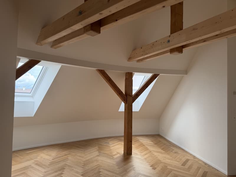 3.5 room attic duplex by Schmiede Wiedikon (10)