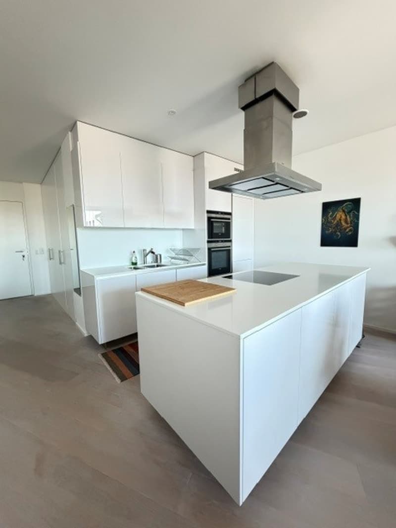 2.5-Zimmer-Whg in Kreis 5 (4)