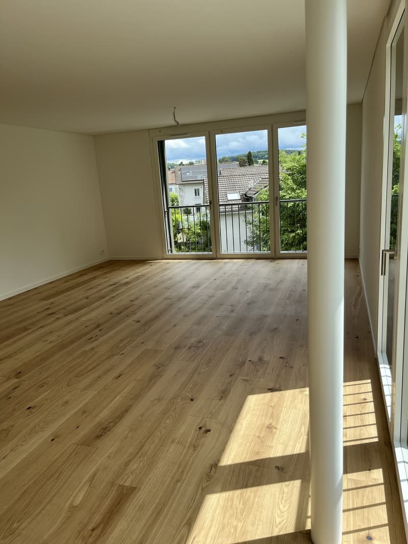 Erstvermietung 3.5 Zi-Wohnung 158m2 Loft-Style, 2600.- Fr (2)