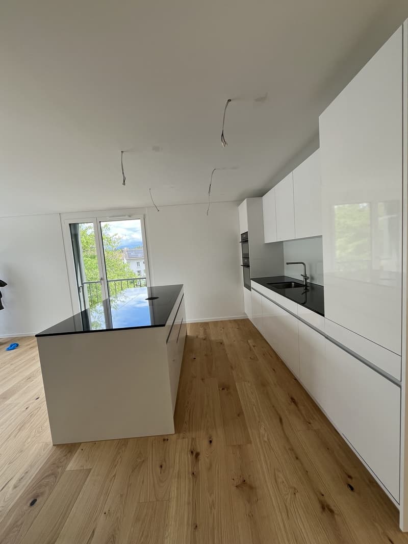 Erstvermietung 3.5 Zi-Wohnung 158m2 Loft-Style, 2600.- Fr (5)